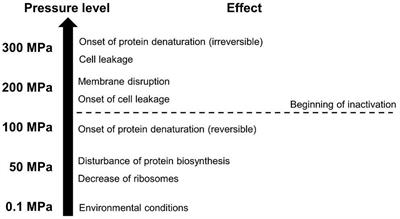 Sublethal Injury and Viable but Non-culturable (VBNC) State in Microorganisms During Preservation of Food and <mark class="highlighted">Biological Materials</mark> by Non-thermal Processes